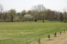 From Drive to South small.jpg