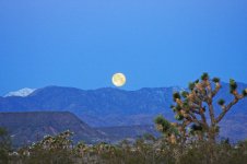 Moonset.jpg