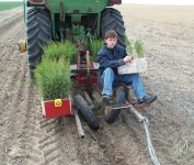 tree-planter.jpg