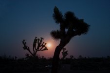 Moon-rise-3-21.jpg