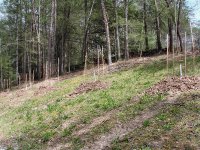 DSC01669_800.JPG