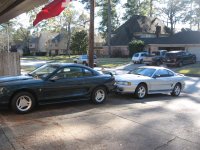 2-mustangs.JPG