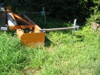 IMG_4865.jpg