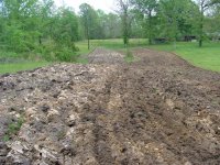 Field 017 (Small).jpg