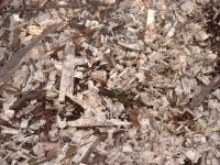 Mulch2.JPG