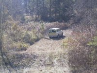 156_5689.jpg