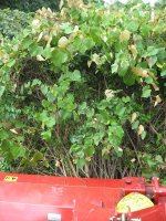 IMG_4235smallfile.jpg