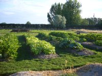 garden 002.jpg