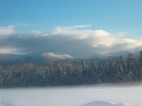Meadow fog 1.jpg
