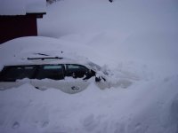 2 cars - snow to windows.jpg