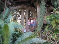 11  Alissa, Steph & Peyton on Tarzans Treehouse.jpg