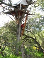 22  Alissa & Peyton climbing Rob's treehouse.jpg