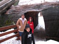 23  Steph, Peyton & Alissa in Giant Sequoia National Monument.jpg
