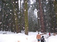 24  Steph, Peyton & Alissa walking the trail in the snow.jpg