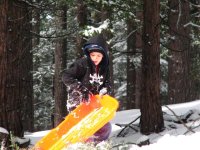 29  Peyton and his sled.jpg