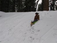 31  Steph on the sled.jpg
