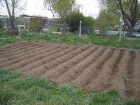 April2008 008.jpg