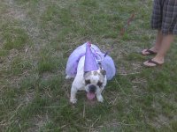 Daisy the Princess.jpg