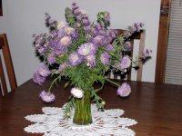 Basket-Case-4.jpg