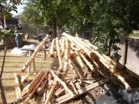 tom james pergola 3 002.jpg