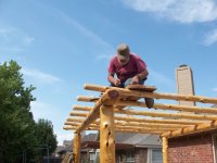 tom james pergola 3 005.jpg