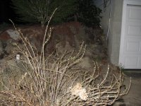 5012008 007.jpg