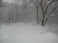 IMG_0202.JPG