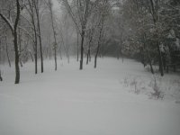 IMG_0206.JPG