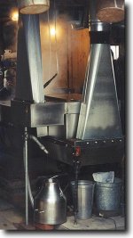 maple5-01.jpg