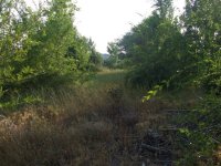 DSCF1250.JPG