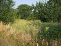 DSCF1253.JPG