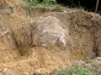 rock exposed.JPG