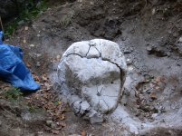 rock split.JPG