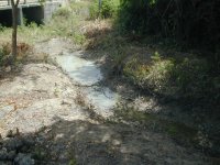 DSCN0006.JPG