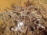 Rake_pile2 (Medium).jpg