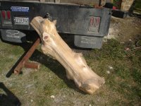 DSC04889 (Medium).JPG