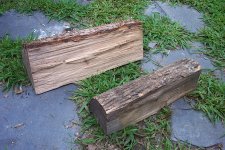 MysteryWood2.jpg