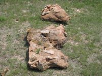 IMG_1052.jpg
