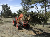 Tractor 001.jpg