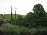 powerline 023.jpg