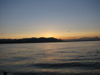 IMG_0084.jpg