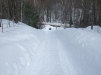 2008_0314picshill0124.JPG