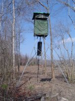 Club- Pine Tree Stand 2-25-08 002.jpg