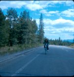 bike-16.jpg
