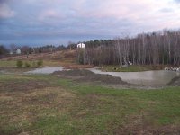 1116 08 pond003.jpg