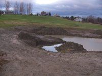 1116 08 pond006.jpg