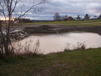 1116 08 pond008.jpg