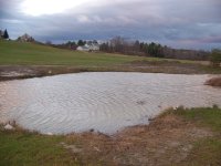 1116 08 pond009.jpg