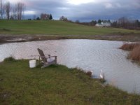1116 08 pond011.jpg