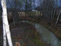 1116 08 pond012.jpg
